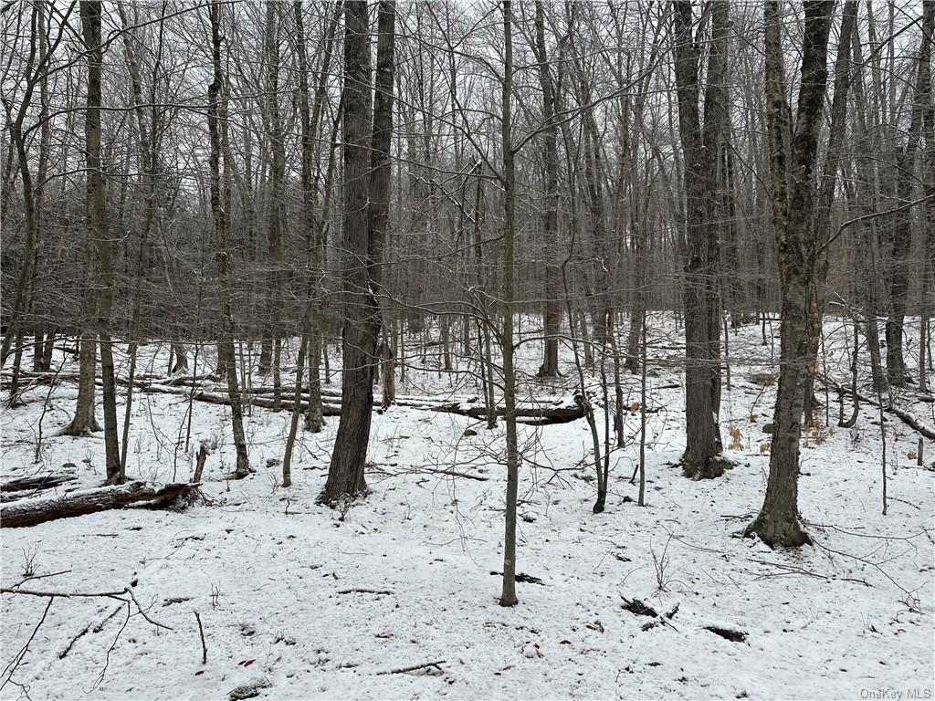 Land Grooville  Sullivan, NY 12758, MLS-H6233770-13