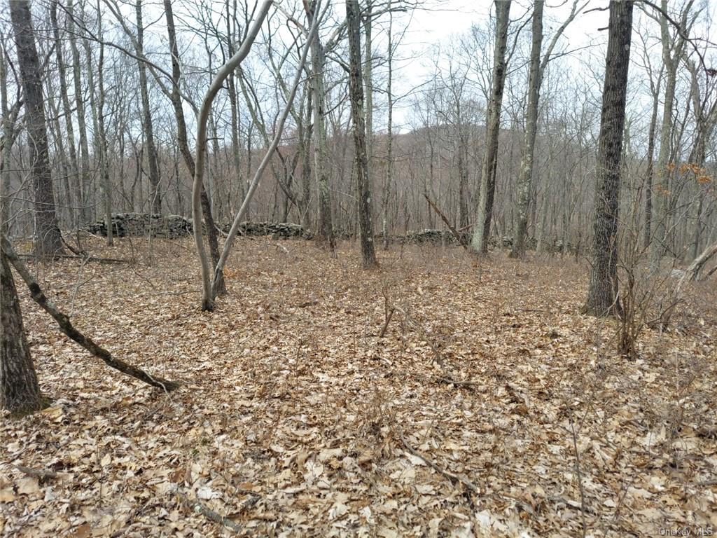 Land Grape Hollow  Dutchess, NY 12531, MLS-H6241803-13