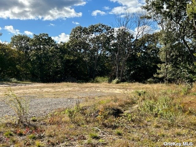 Land Yaphank  Suffolk, NY 11763, MLS-3510812-13