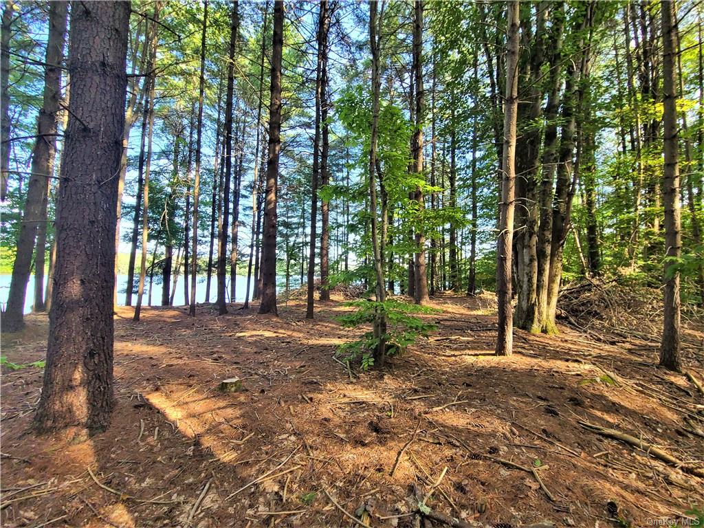 Land Woodstone  Sullivan, NY 12786, MLS-H6267818-13