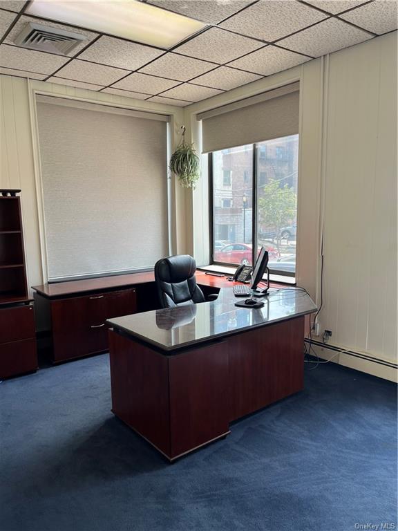 Commercial Lease Court  Westchester, NY 10601, MLS-H6258825-13