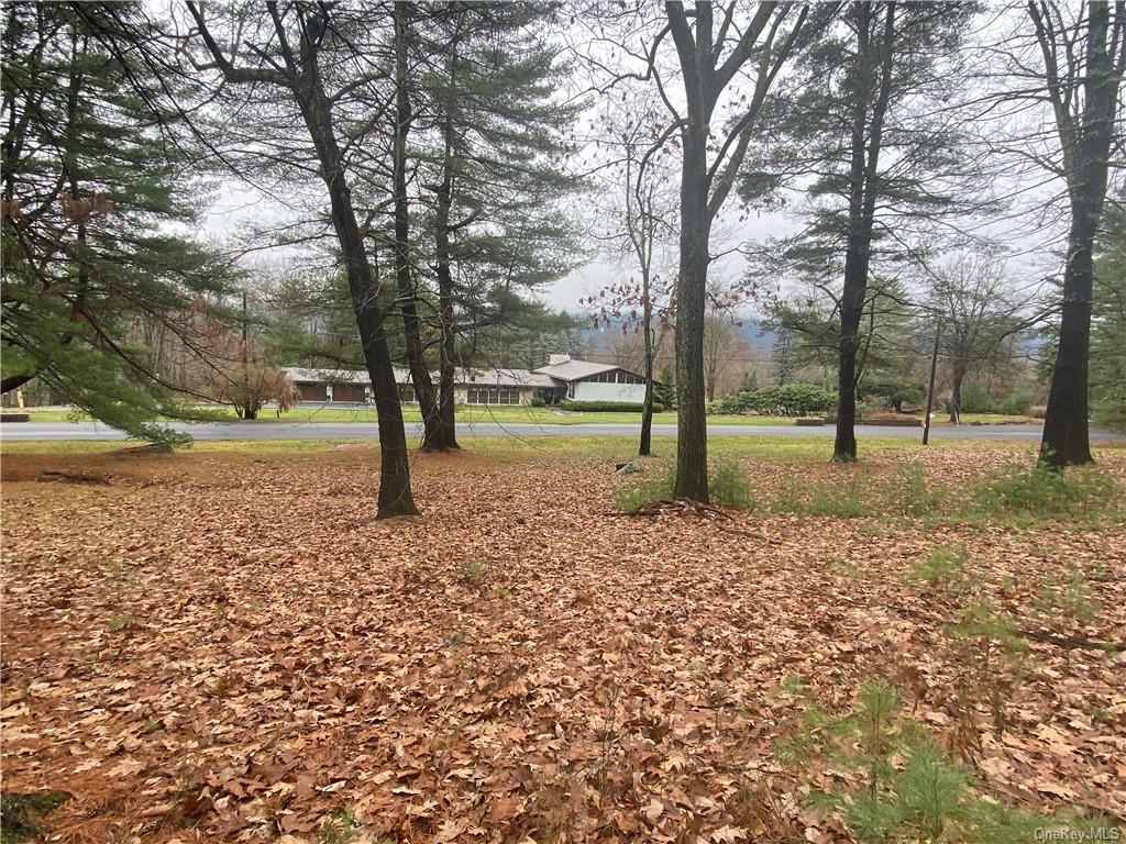 Land Diane  Ulster, NY 12428, MLS-H6223846-13