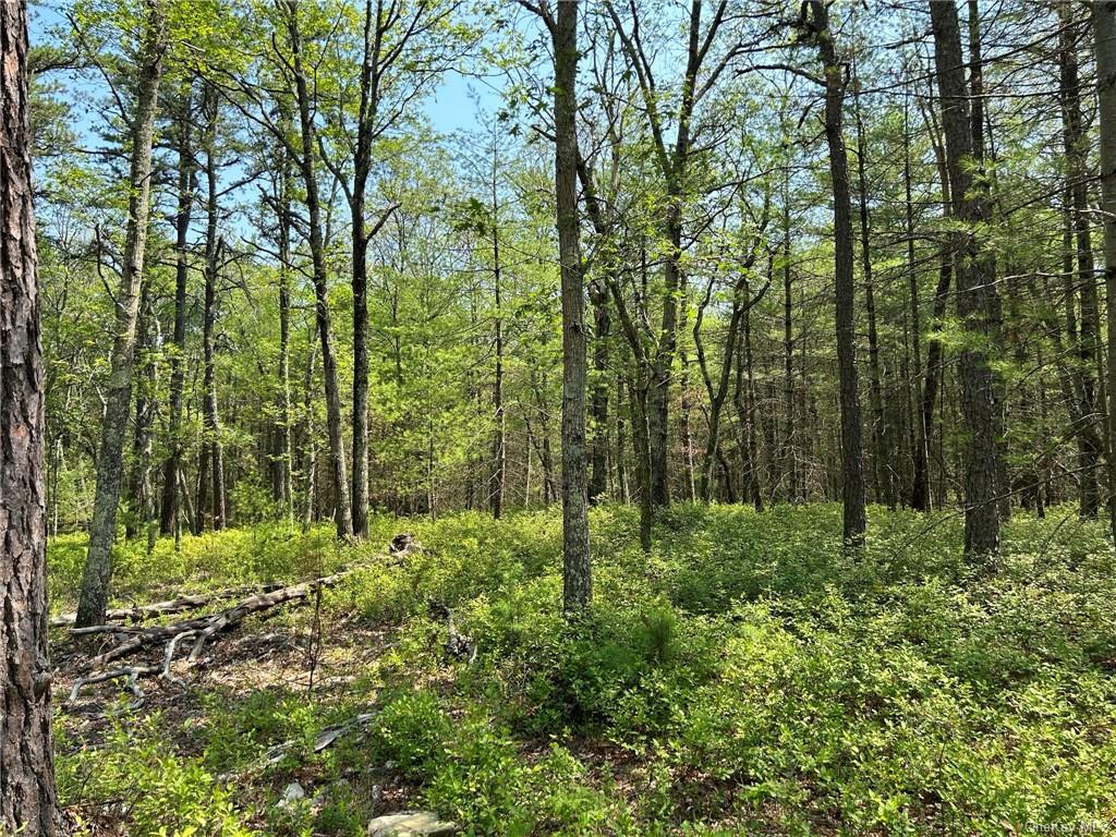 Land Clendening  Ulster, NY 12484, MLS-H6259859-13