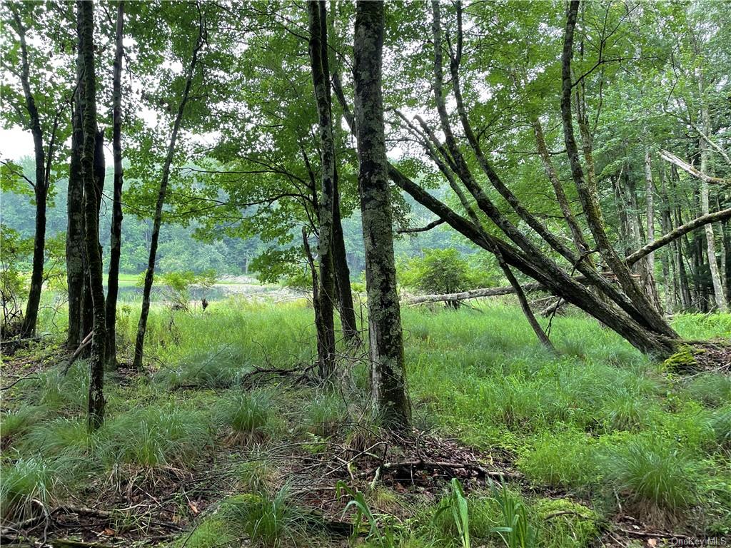 Land Cty Hwy 141 - Horseshoe Lake Rd Lots 10.7 & 10.9  Sullivan, NY 12720, MLS-H6240873-13