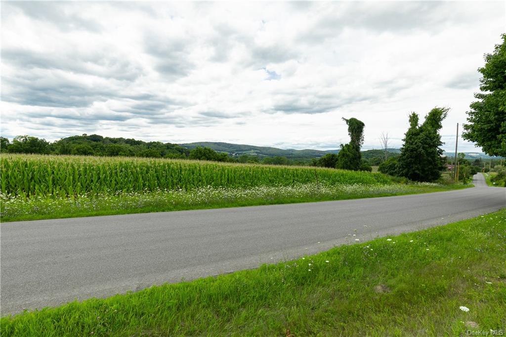 Land Yonderview  Columbia, NY 12529, MLS-H6201886-13