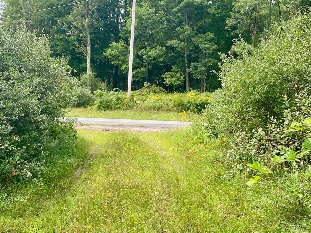 Land Moscoe  Sullivan, NY 12720, MLS-H6241893-13