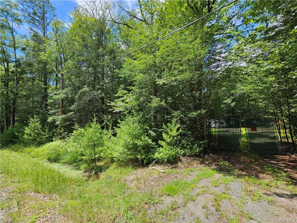 Land Barker/rowley  Sullivan, NY 12528, MLS-H6257962-13