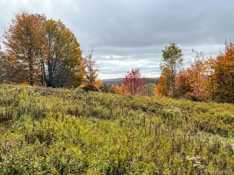 Land Debruce  Sullivan, NY 12758, MLS-H6214984-13