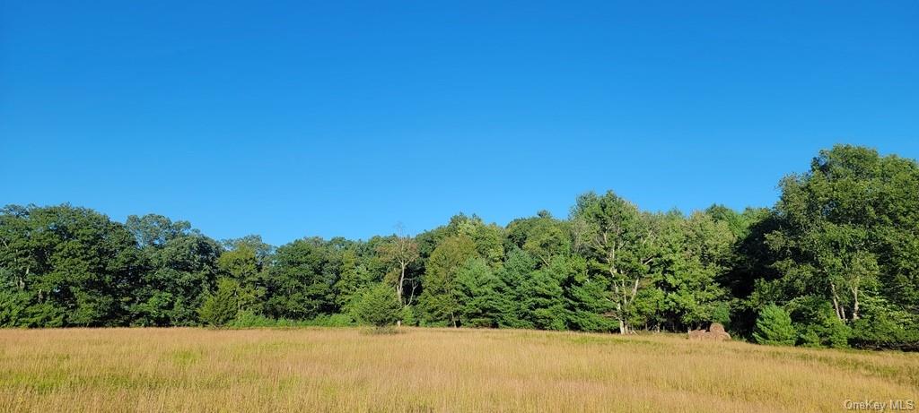 Land Meyerson  Sullivan, NY 12790, MLS-H6207993-13