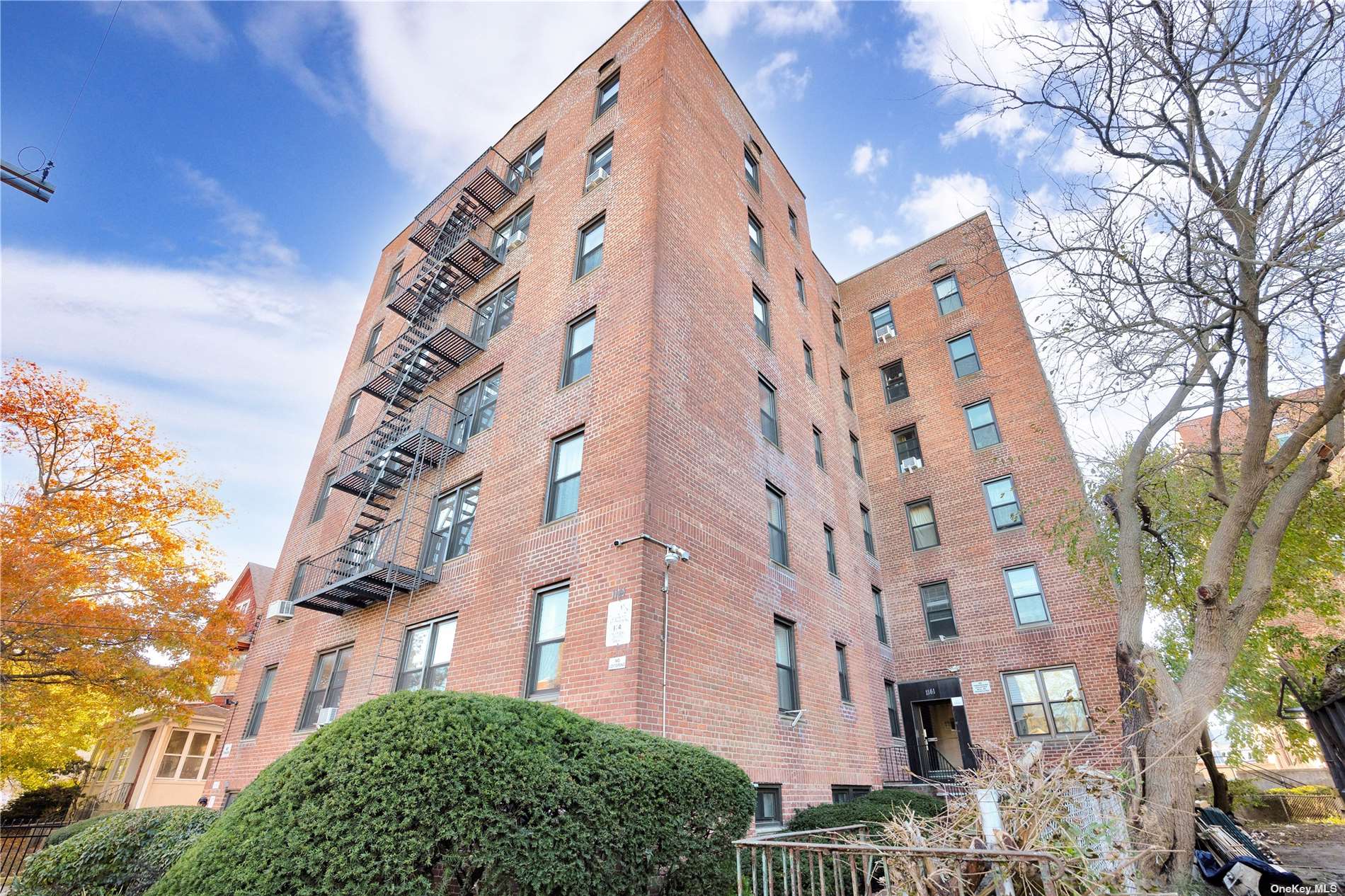 Coop Mcbride Street,   Queens, NY 11691, MLS-3517116-14