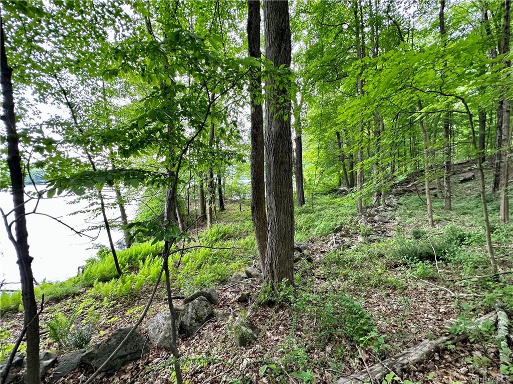 Land Pierson Lakes  Rockland, NY 10974, MLS-H6255156-14