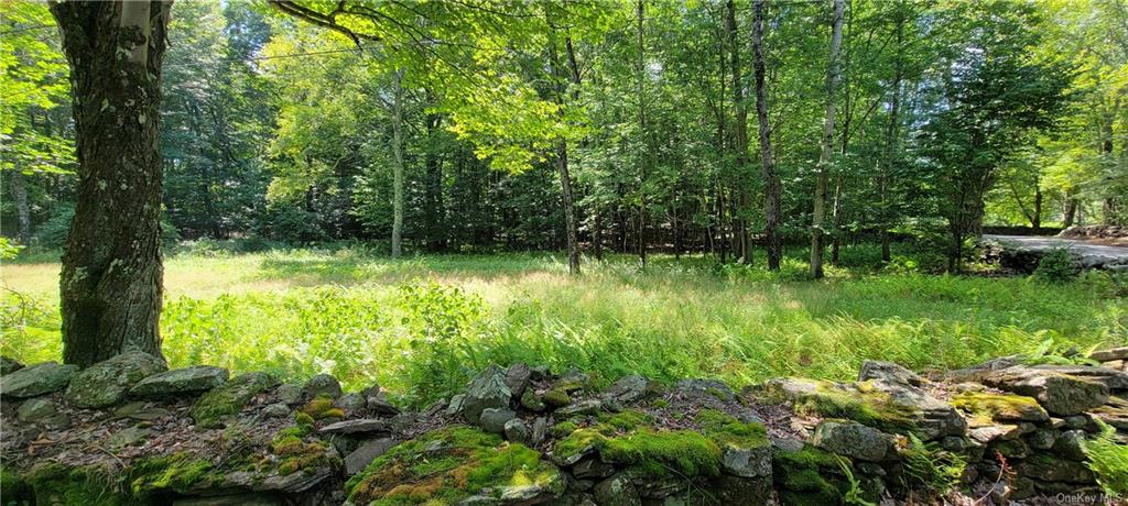 Land Westervelt  Sullivan, NY 12726, MLS-H6264186-14