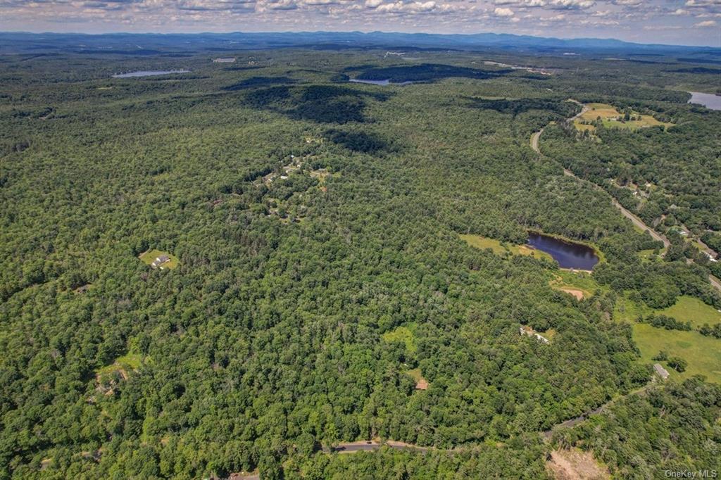 Land N/s French Clearing  Sullivan, NY 12777, MLS-H6195187-14