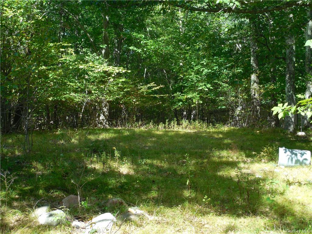 Land Shawanga Lodge  Sullivan, NY 12721, MLS-H6215260-14