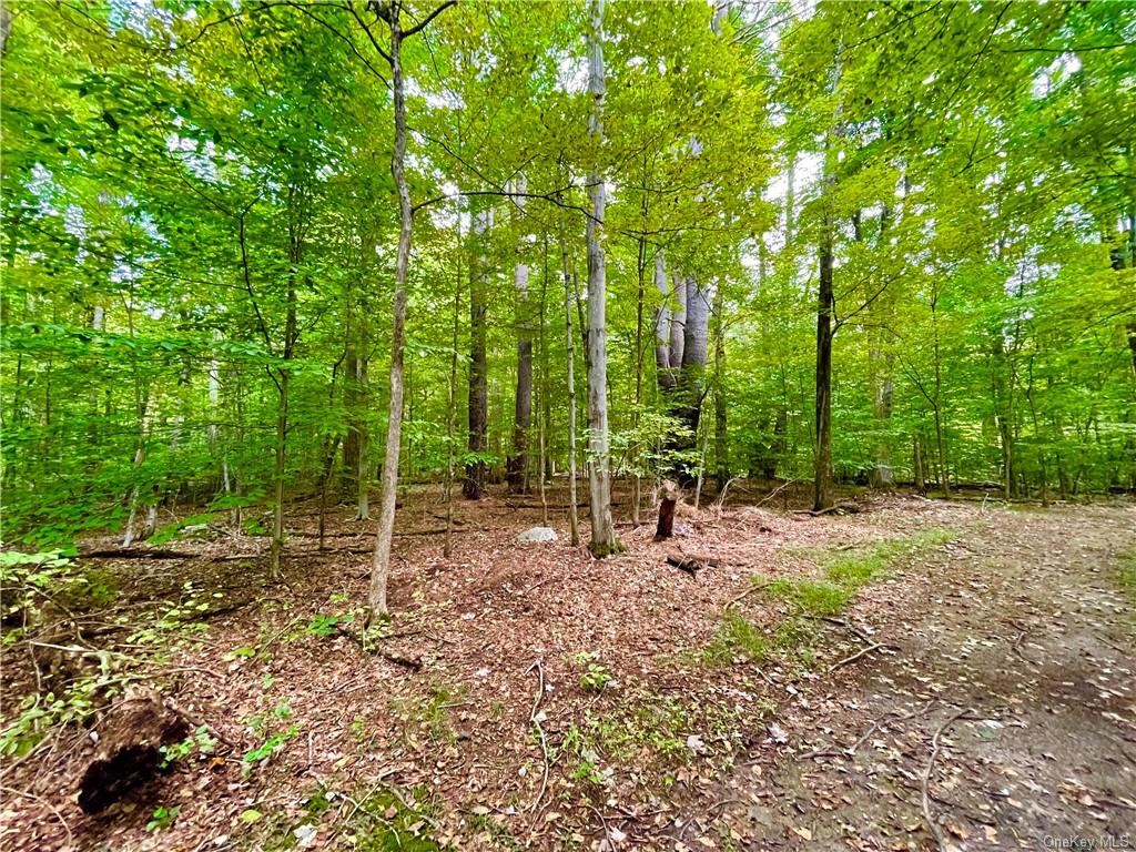 Land Ulsterville  Ulster, NY 12566, MLS-H6144266-14
