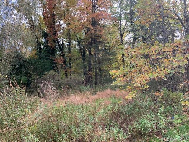 Land Route 209  Ulster, NY 12404, MLS-H6151324-14