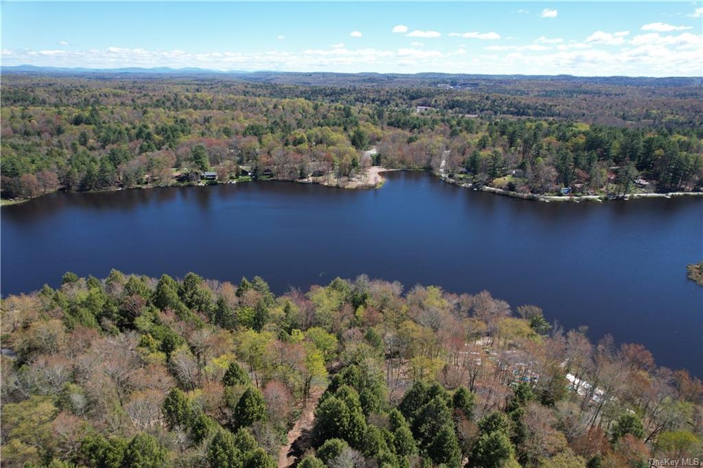 Land Lakeshore  Sullivan, NY 12778, MLS-H6202359-14