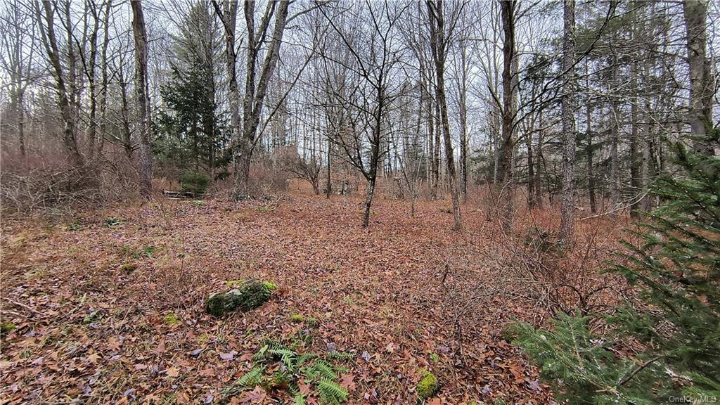 Land New Turnpike A  Sullivan, NY 12726, MLS-H6281364-14