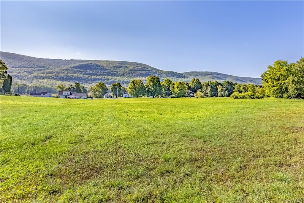 Land Route 209  Ulster, NY 12428, MLS-H6262369-14