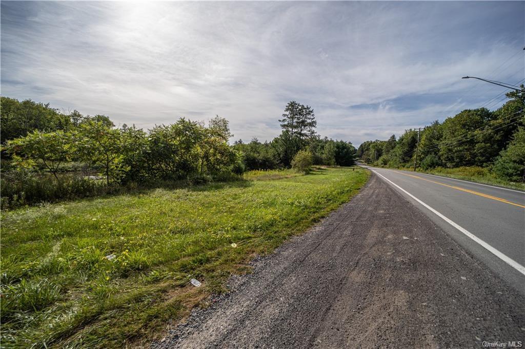 Land Heiden  Sullivan, NY 12733, MLS-H6212378-14