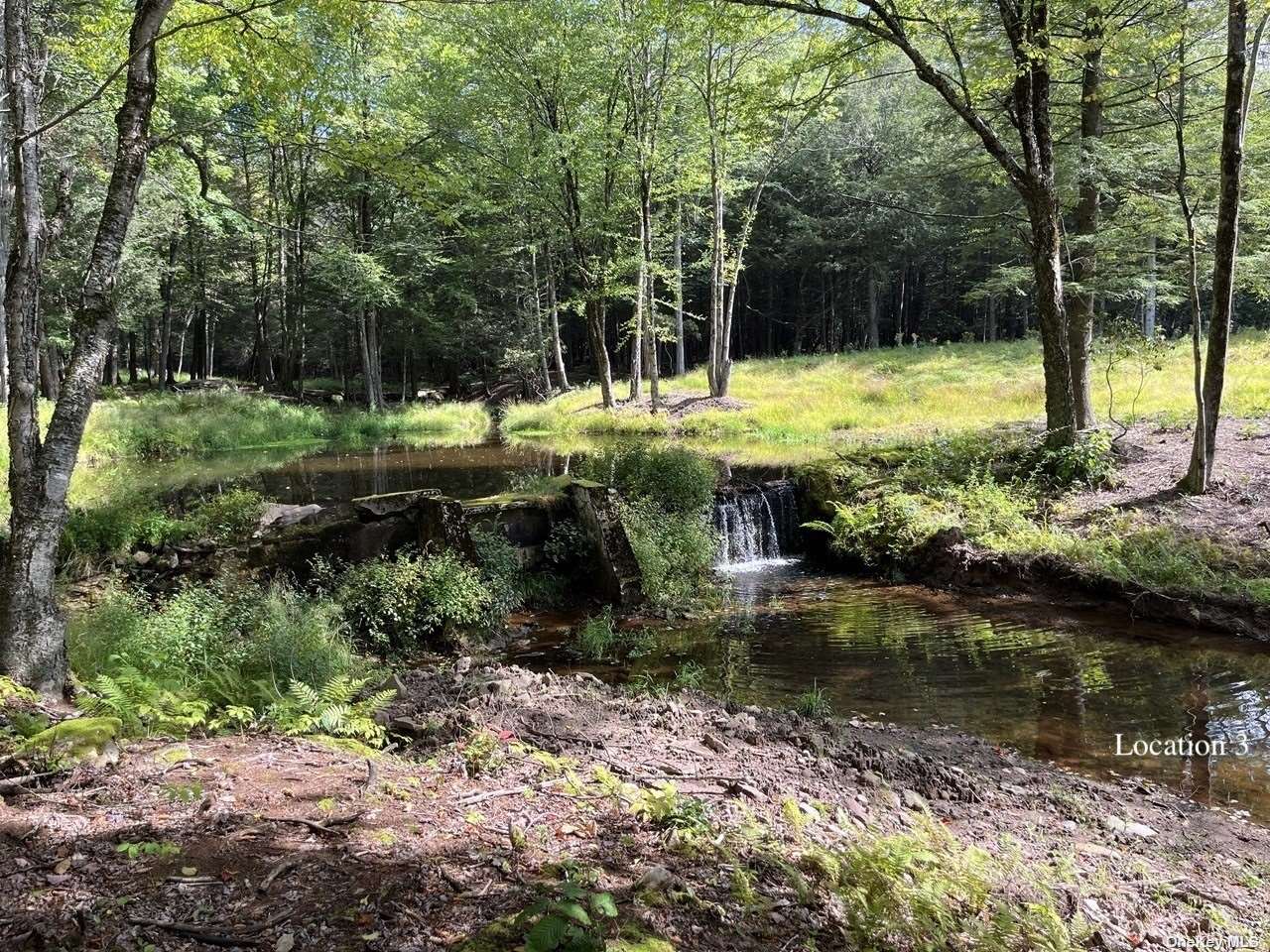 Land Tanzman  Sullivan, NY 12768, MLS-3506472-14