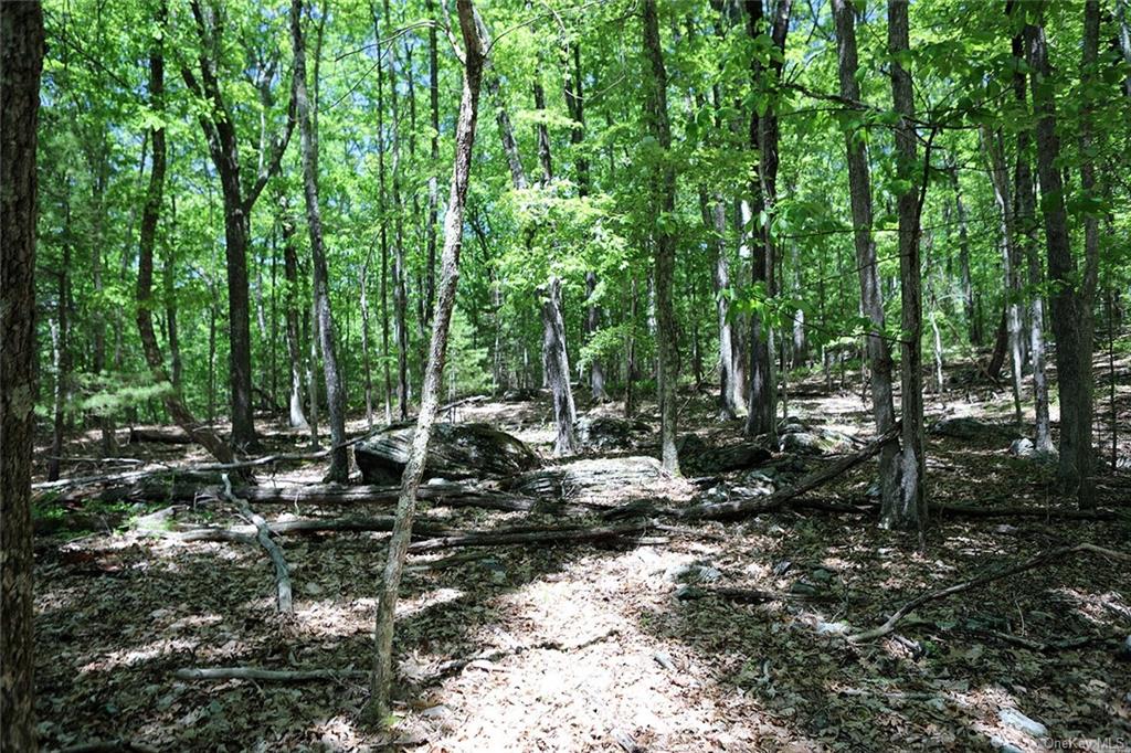 Land Barbara  Sullivan, NY 12723, MLS-H6280499-14