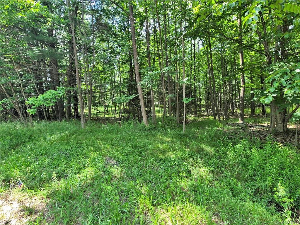 Land Interstate 86 Access Road/ Sheehan  Sullivan, NY 12754, MLS-H6257500-14