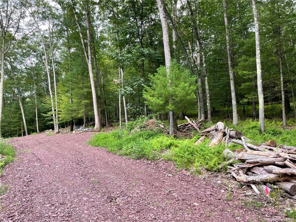 Land Naomi Dr / State Route 97  Sullivan, NY 12726, MLS-H6267505-14