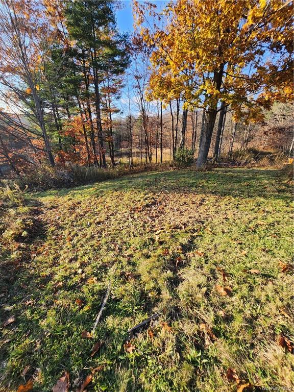 Land Smith  Out Of Area, NY 12469, MLS-H6278519-14
