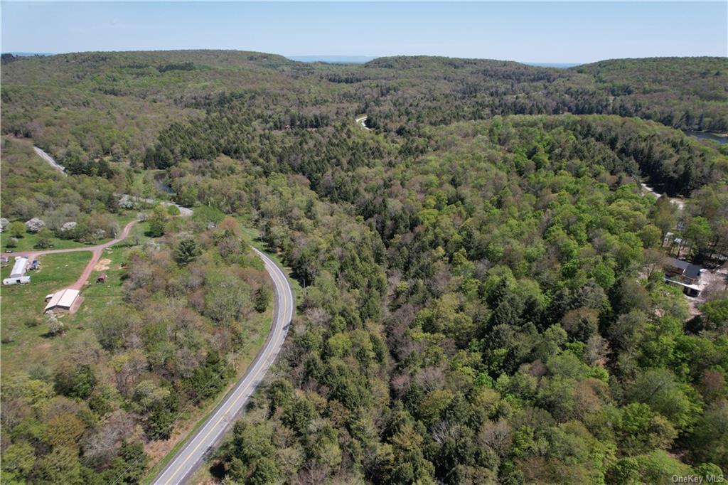 Land Eagles Ridge  Sullivan, NY 12768, MLS-H6232574-14