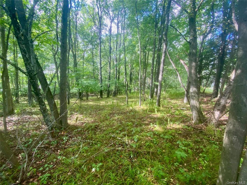 Land Broadway  Sullivan, NY 12701, MLS-H6239591-14