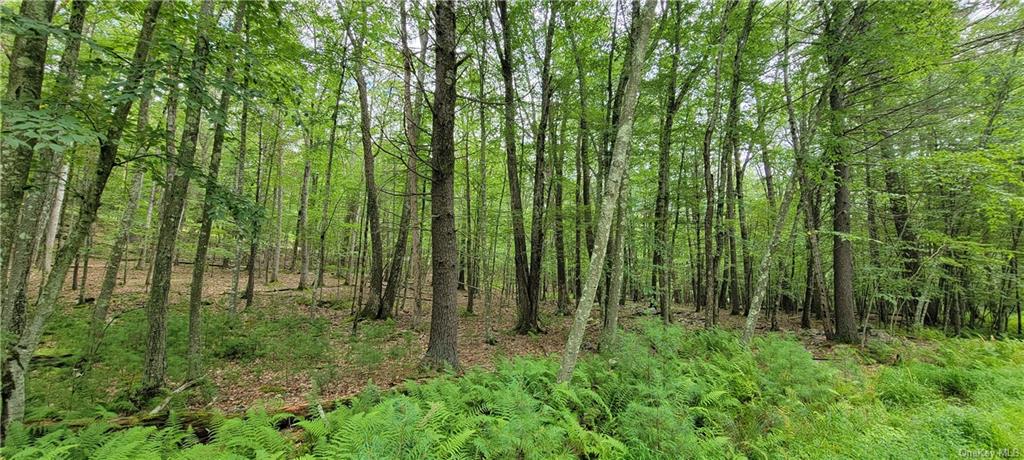 Land Hawks Nest  Out Of Area, NY 18428, MLS-H6265593-14