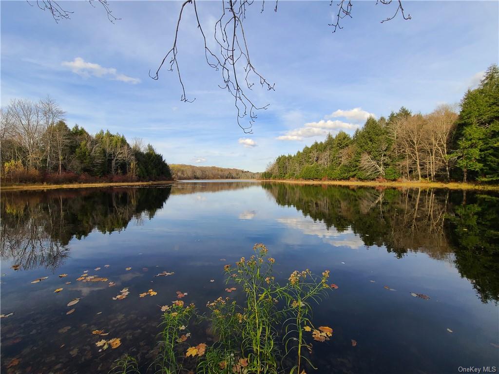 Land Beaver Lake  Sullivan, NY 12758, MLS-H6232604-14