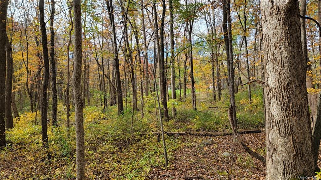 Land Western  Orange, NY 12586, MLS-H6275607-14