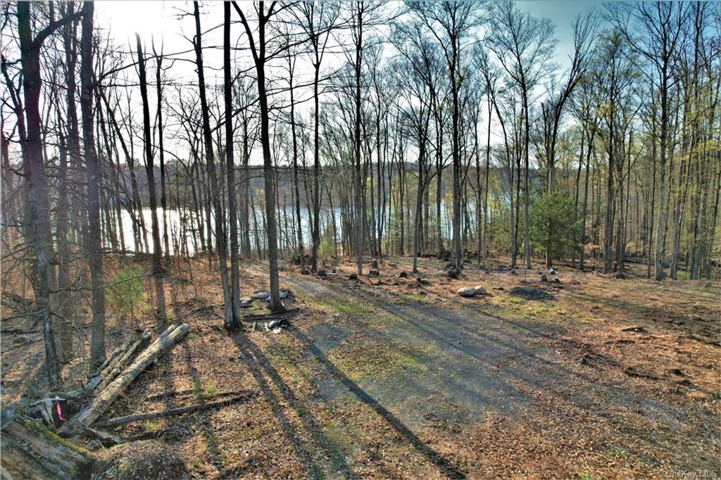 Land Plank  Sullivan, NY 12777, MLS-H6266634-14