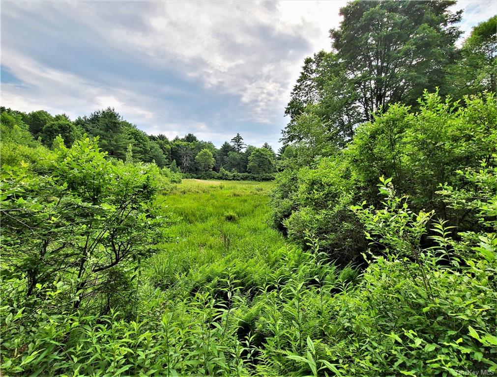 Land Mitchell  Sullivan, NY 12786, MLS-H6243649-14