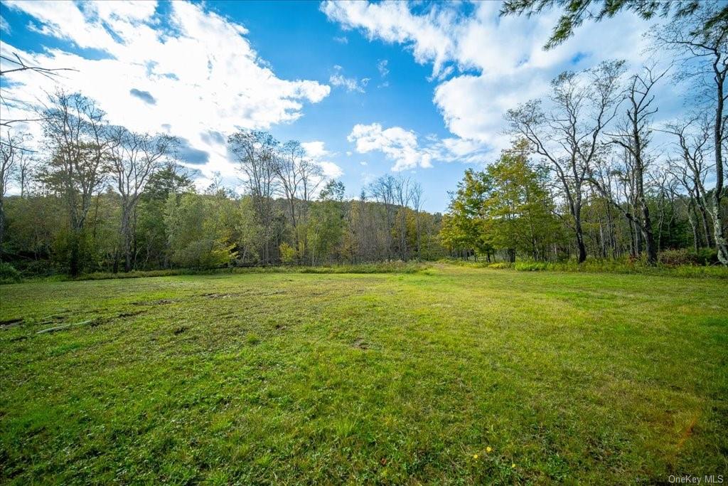 Land Old Liberty  Sullivan, NY 12758, MLS-H6269690-14