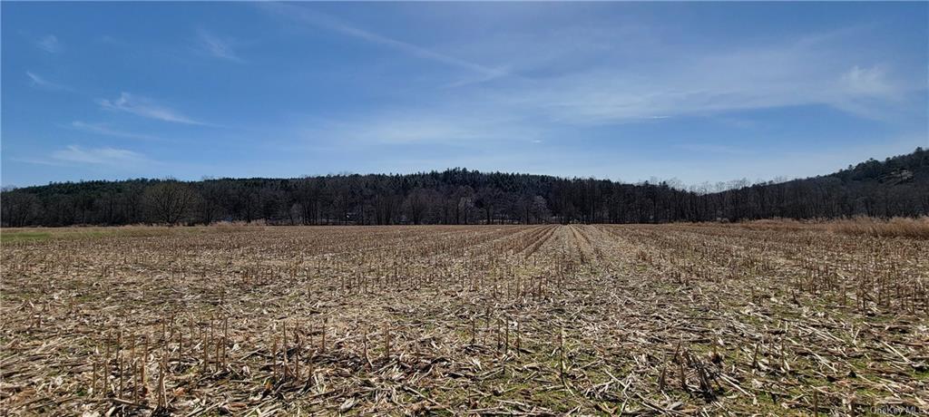 Land Cochecton  Sullivan, NY 12726, MLS-H6177700-14