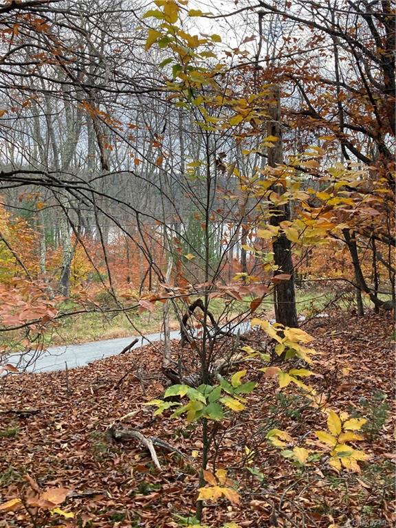 Land Plank  Sullivan, NY 12762, MLS-H6274706-14