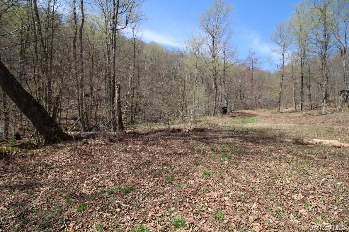 Land Cattail  Sullivan, NY 12758, MLS-H6244708-14