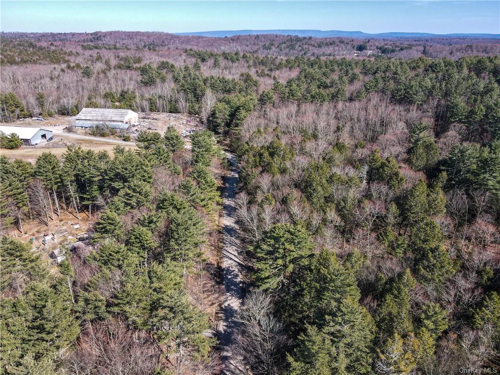 Land Beaver Lane Tr 166  Sullivan, NY 12733, MLS-H6242756-14