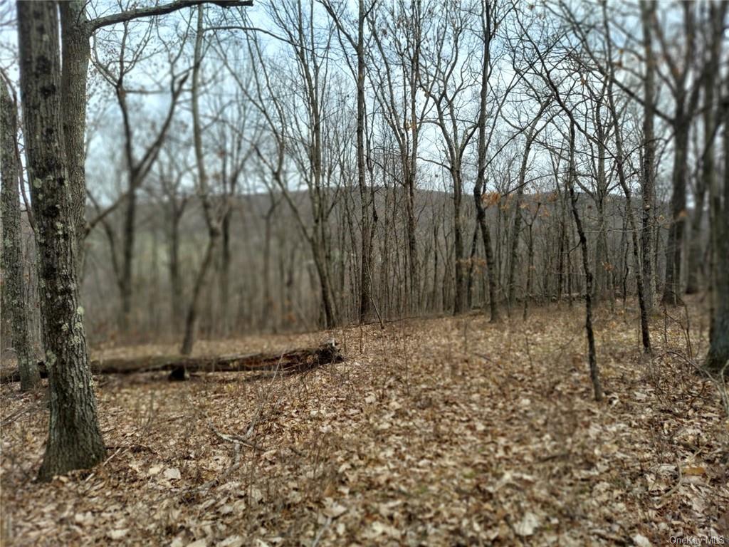 Land Grape Hollow  Dutchess, NY 12531, MLS-H6241803-14