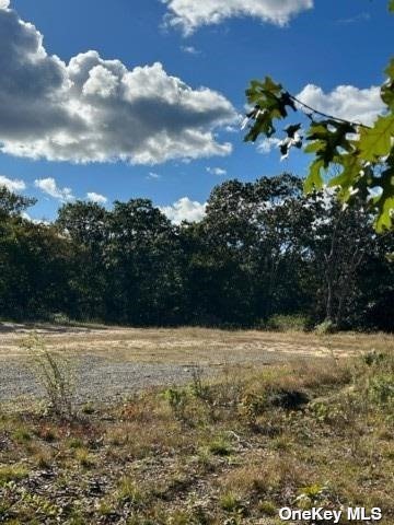 Land Yaphank  Suffolk, NY 11763, MLS-3510812-14