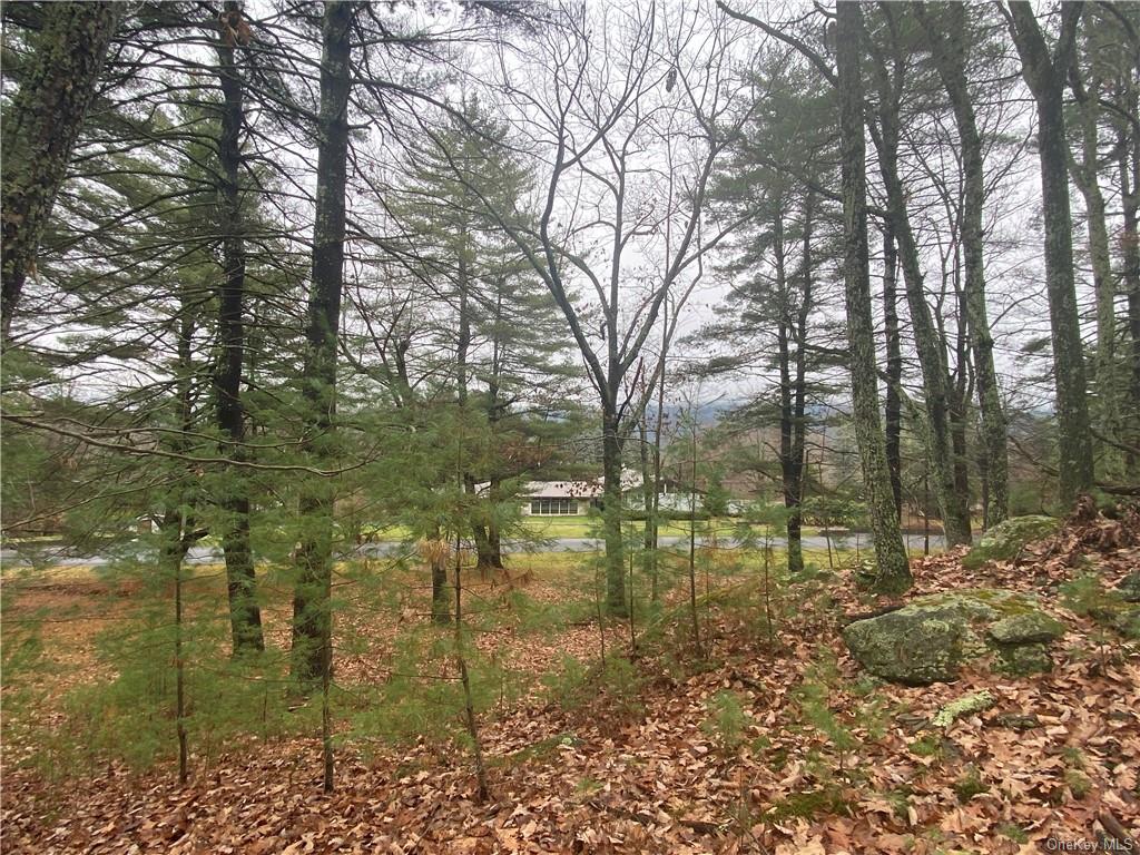 Land Diane  Ulster, NY 12428, MLS-H6223846-14