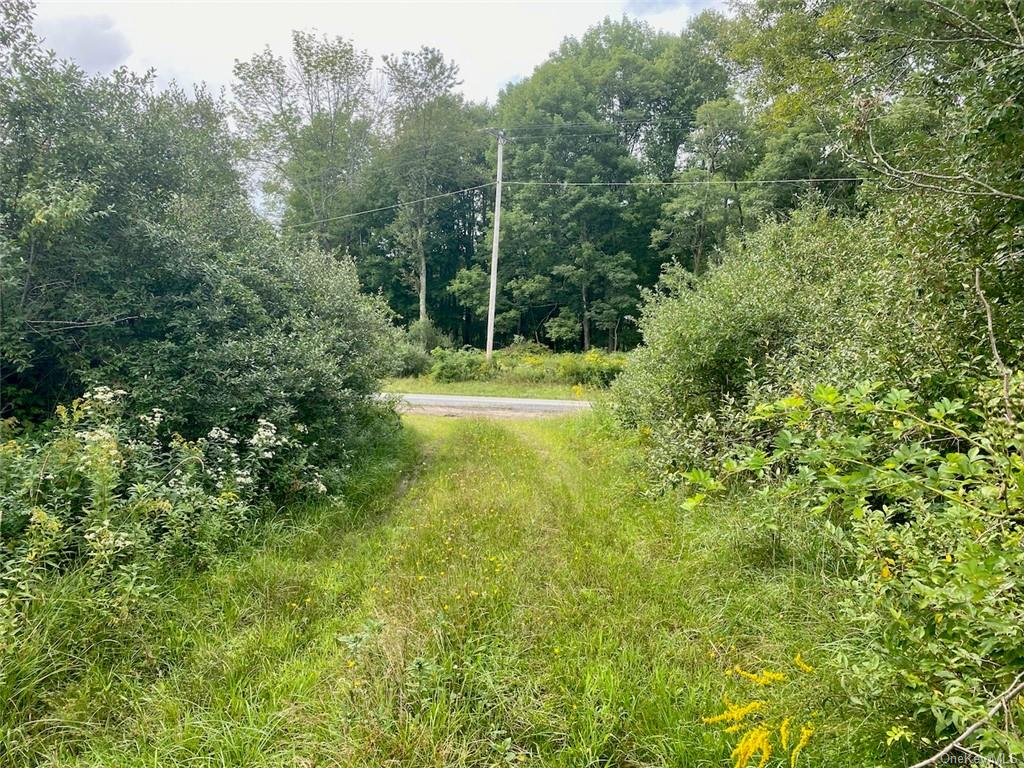 Land Moscoe  Sullivan, NY 12720, MLS-H6241893-14