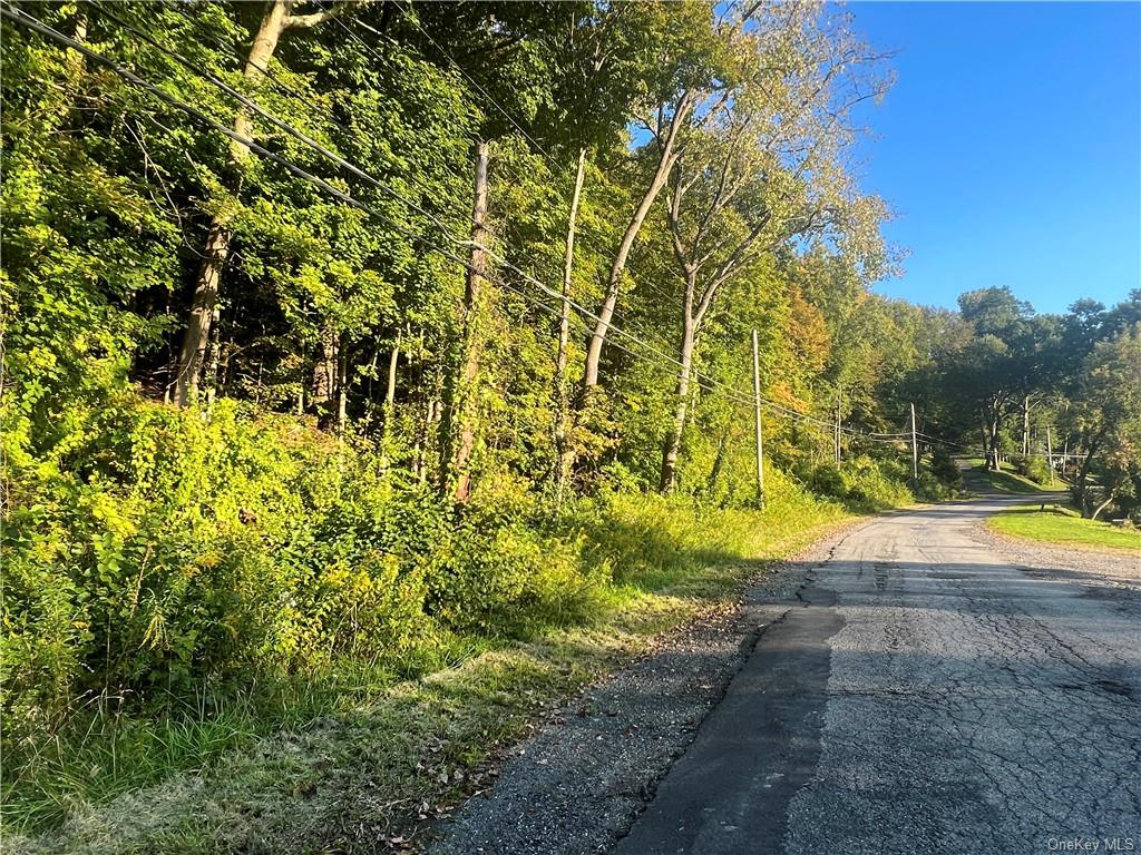 Land Old Route 22  Dutchess, NY 12564, MLS-H6270937-14