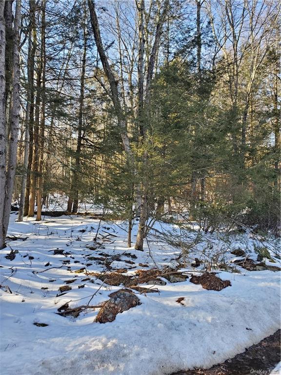 Land Red Star  Ulster, NY 12435, MLS-H6236955-14