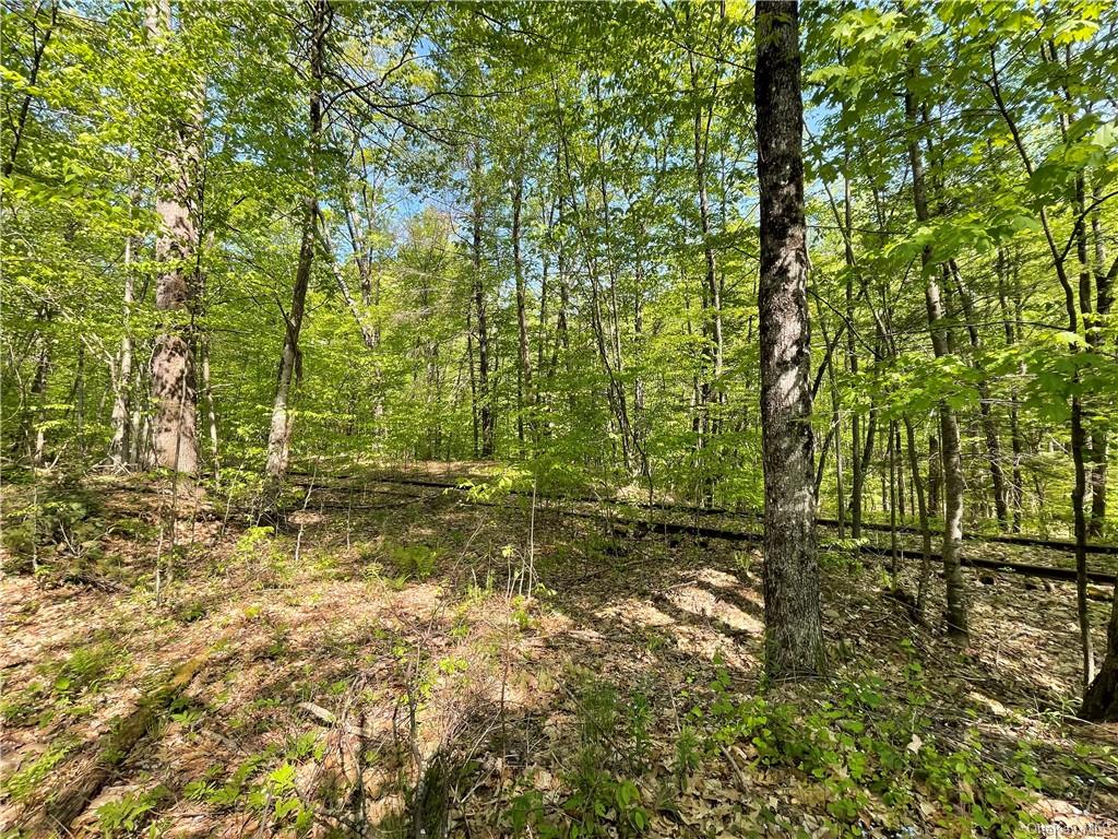 Land Creek Side  Ulster, NY 12480, MLS-H6228986-14