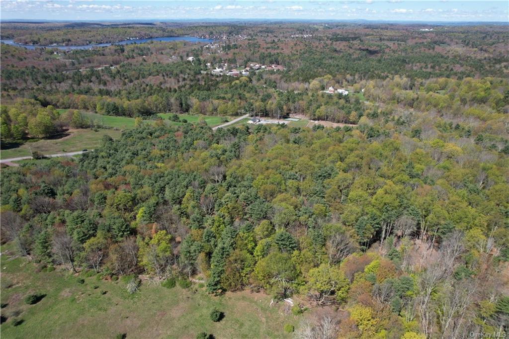 Land Royce  Sullivan, NY 12720, MLS-H6245995-14