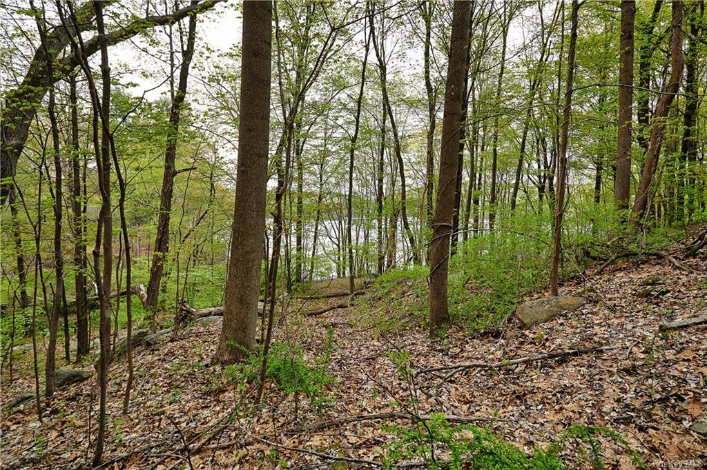 Land Pierson Lakes  Rockland, NY 10974, MLS-H6246064-15